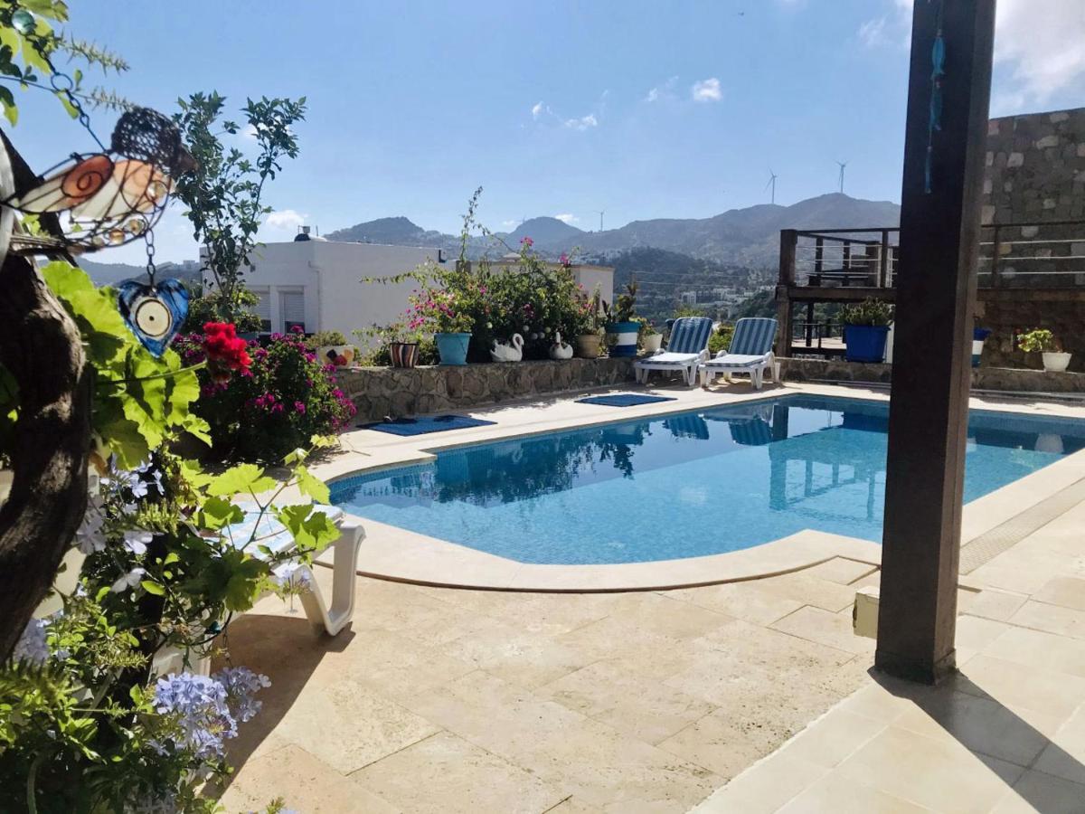 Villa Priene - Gumusluk Private Pool Luaran gambar